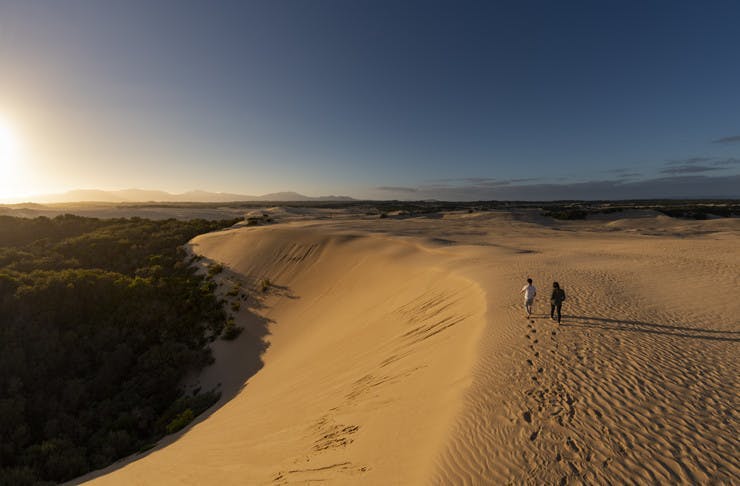 Two people walking along the ridge of a sand dune during a sunny afternoon.
