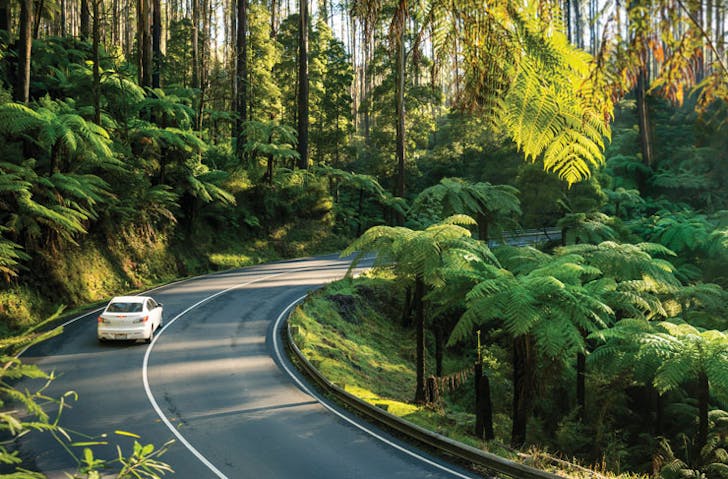 victoria-best-scenic-drives