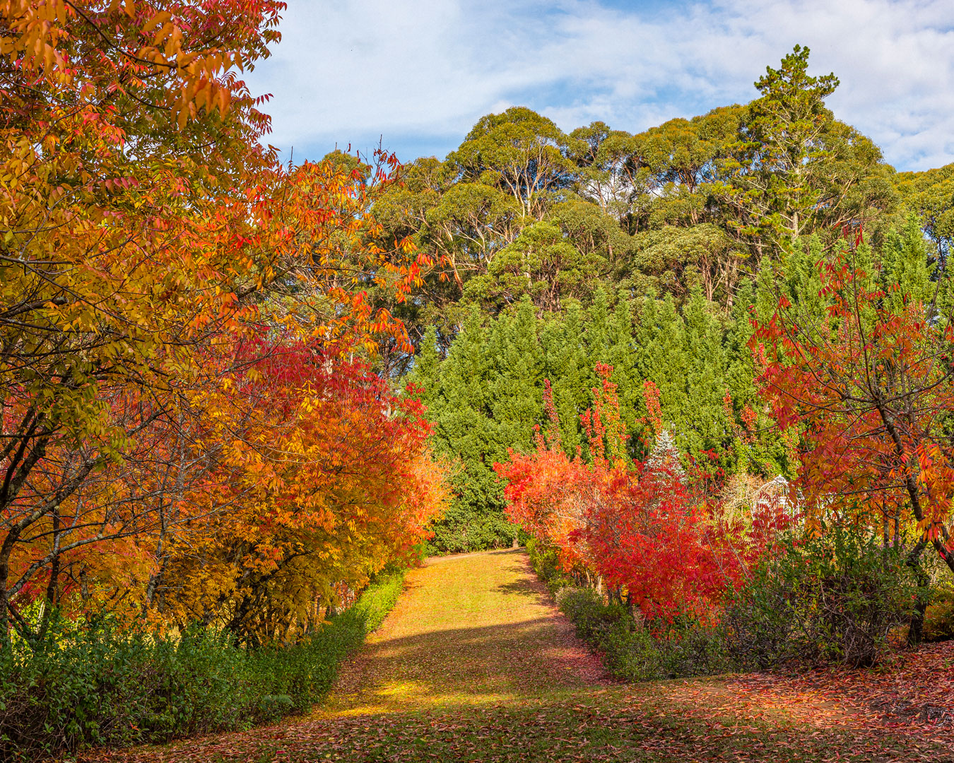 places to visit in sydney autumn