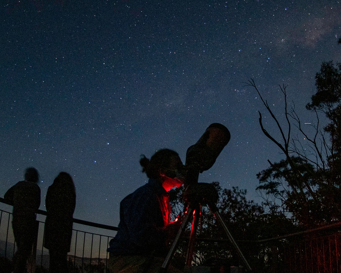 sydney stargazing tour