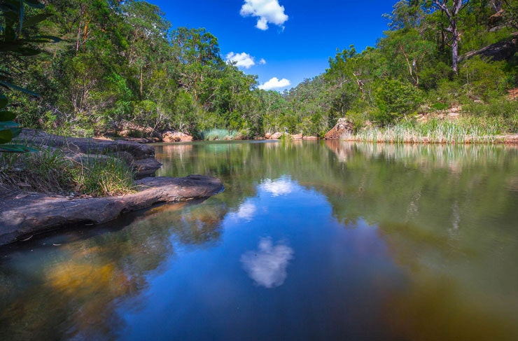 An image of the Blue Pool Bushwalking Track taken in the afternoon. 