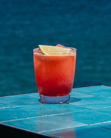 The Best Bondi Bars For All Occasions | URBAN LIST SYDNEY