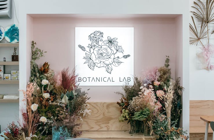 botanical lab's light box and dried flowers