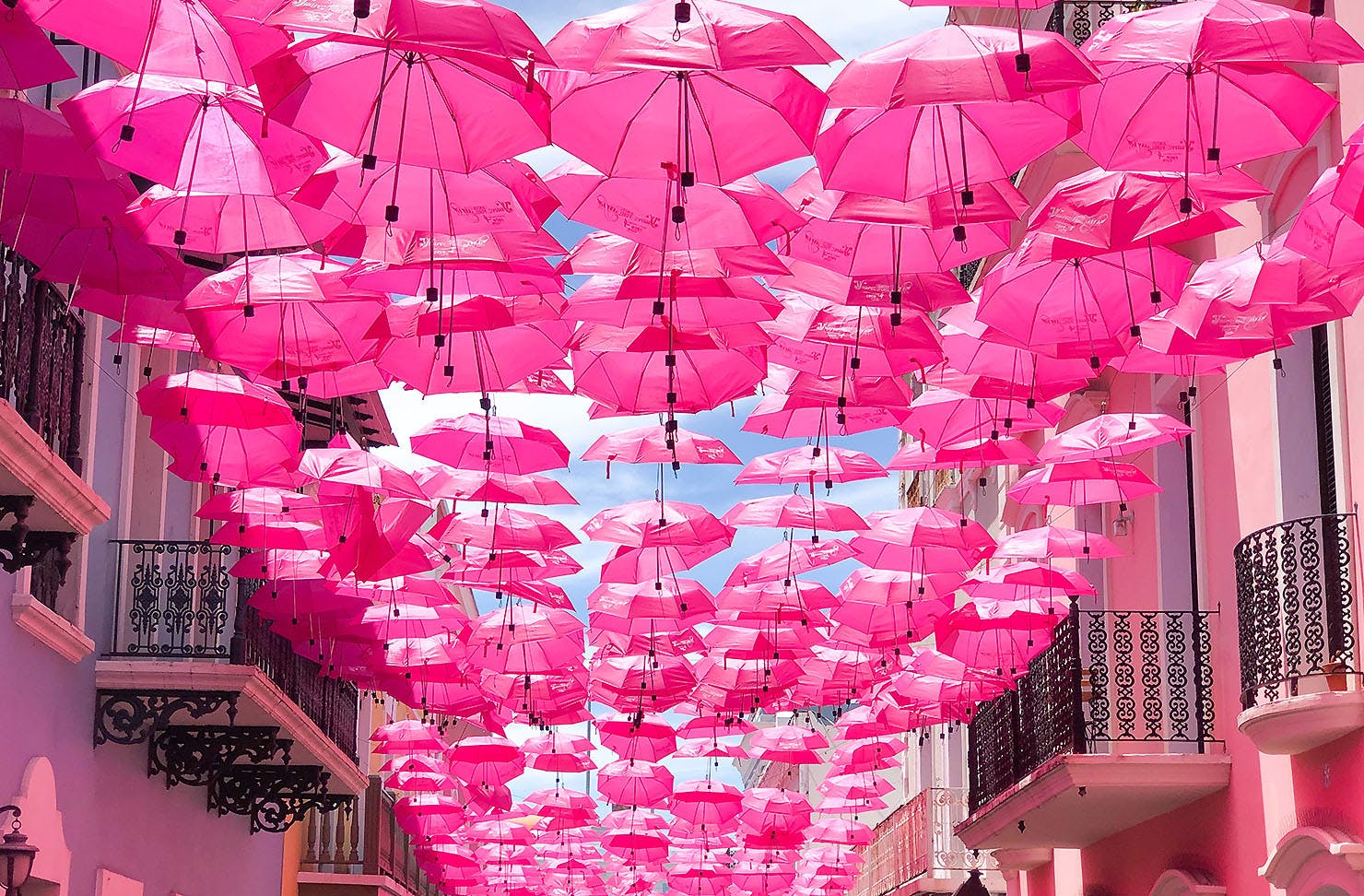 Pink umbrellas fill the rooftop over some sunny street in the med somewhere.