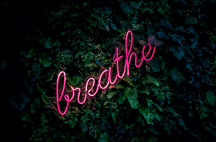 A pink neon sign that says 'Breathe' on a leafy background.