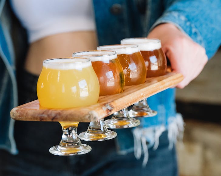sauce brewing co inner west ale trail sydney