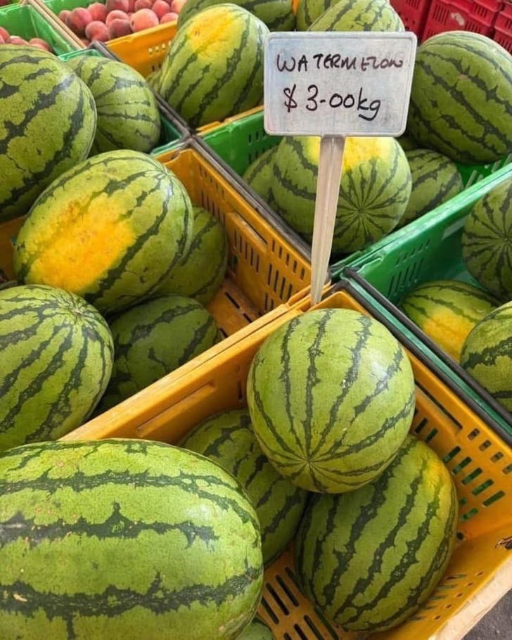 brewtown farmers markets wellington watermelon for sale