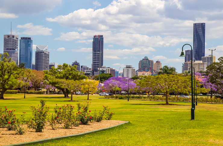 New Farm Park on a sunny day. Brisbane city is in the background.