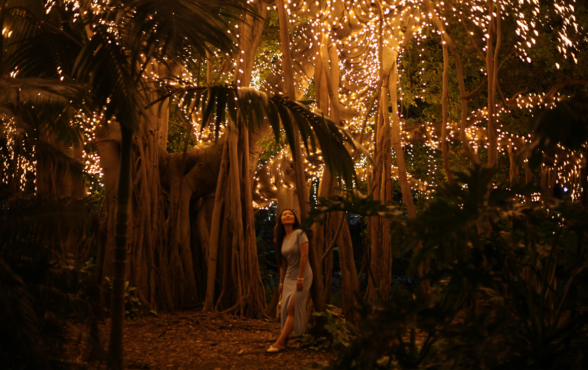 A woman standing under a fairy lit fig tree at night.