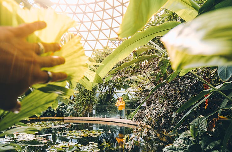 A woman standing on a bridge in a massive glass dome greenhouse full of plants.