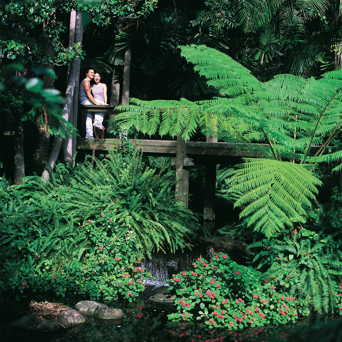 Two people standing on a bridge in the midst of a rainforest area