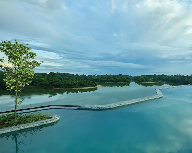 Rooftop oolong at Mandai Rainforest Resort by Banyan Tree