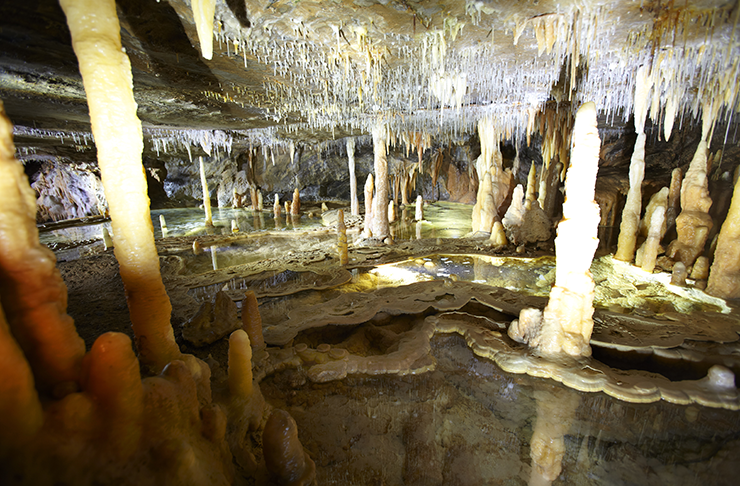 Stalactites in the middle of a cave. 