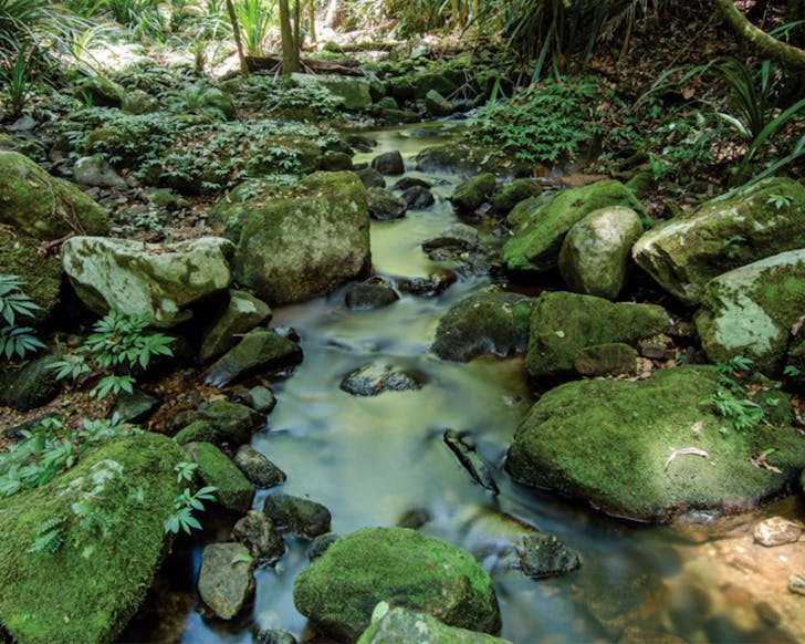 Green-blue pools at Byan Yangala Loop Walk
