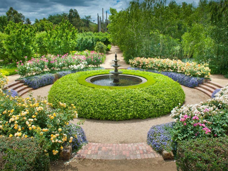 Hedge at the Alowyn gardens