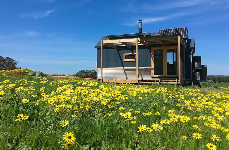 one of Victoria's best cabin stays in a field of flowers.