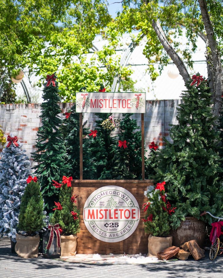 camden valley inn sydney christmas event 2024