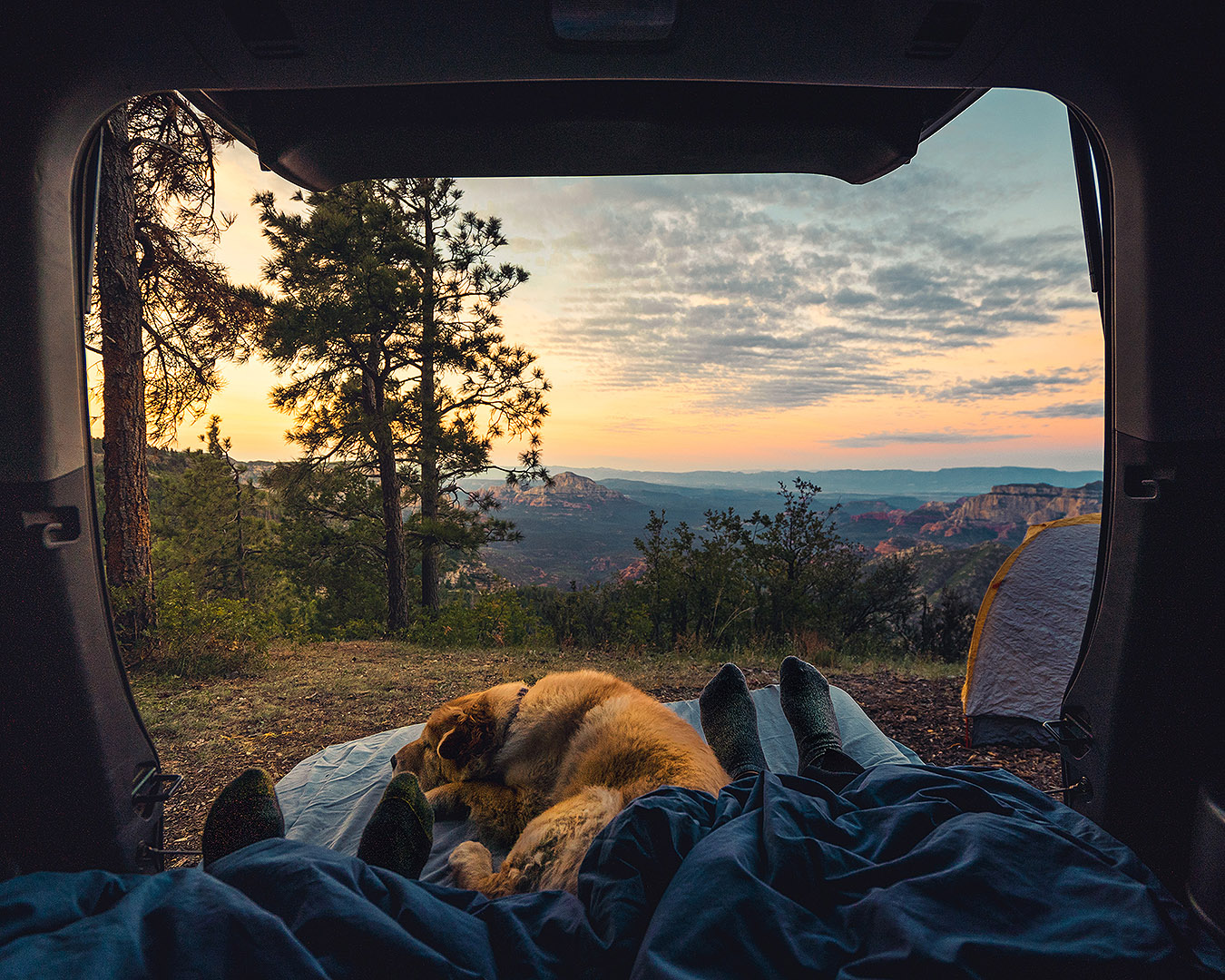 A dog is seen snoozing in the back of a campervan.