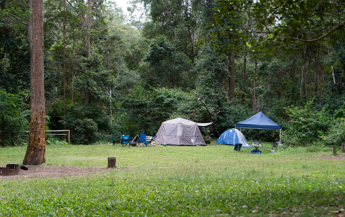 tents on a grassy area