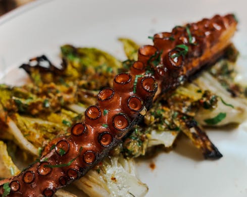 CANESS paddington sydney tapas bar 