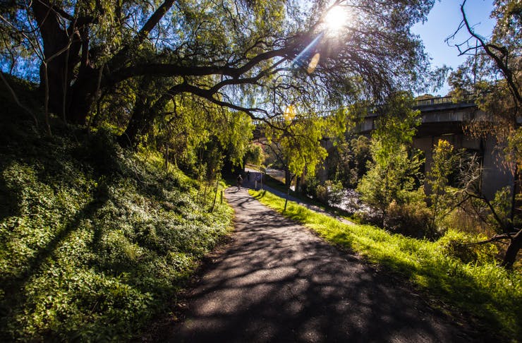 Melbourne's Best Walks