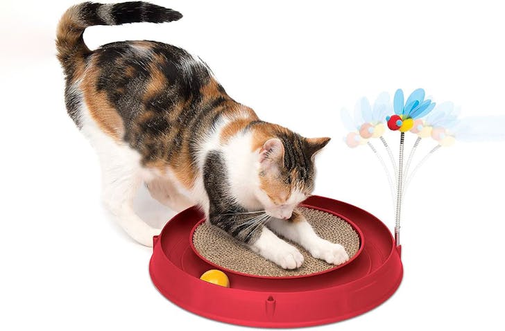 red cat toy
