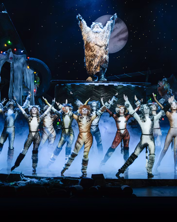 Cats the musical