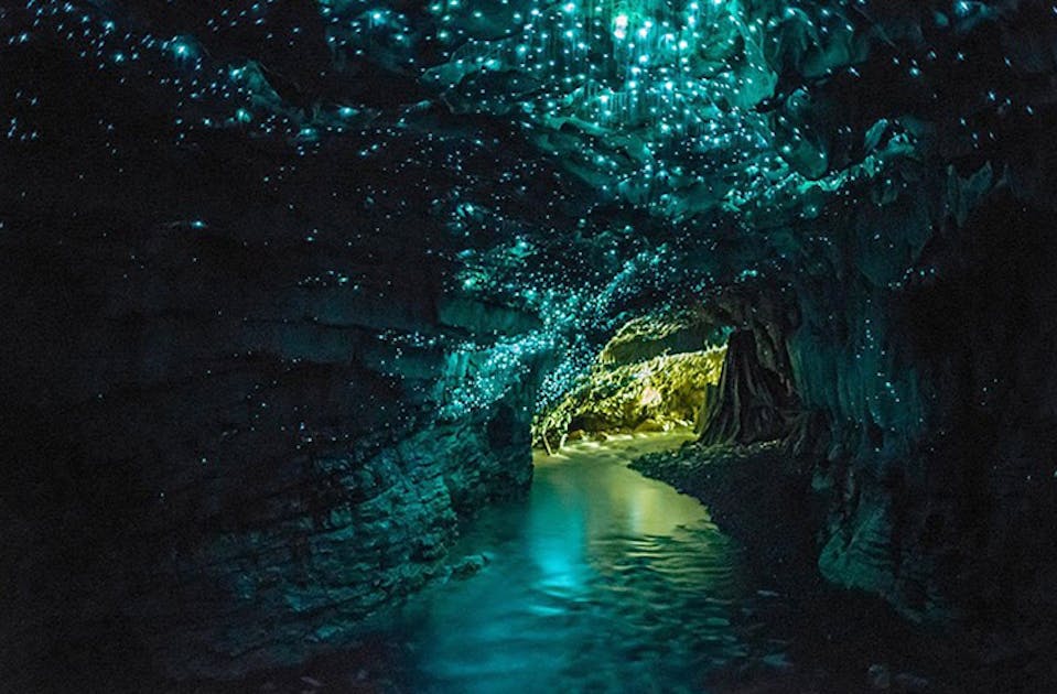 Best Caves In And Around Auckland | URBAN LIST NEW ZEALAND