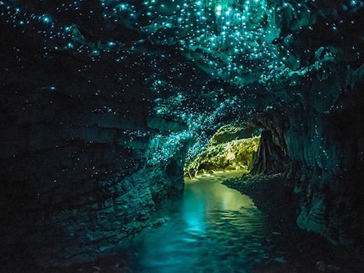 50 Things To Do In Auckland This Winter Urban List Nz