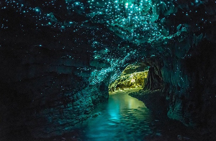 50 Things To Do In Auckland This Winter
