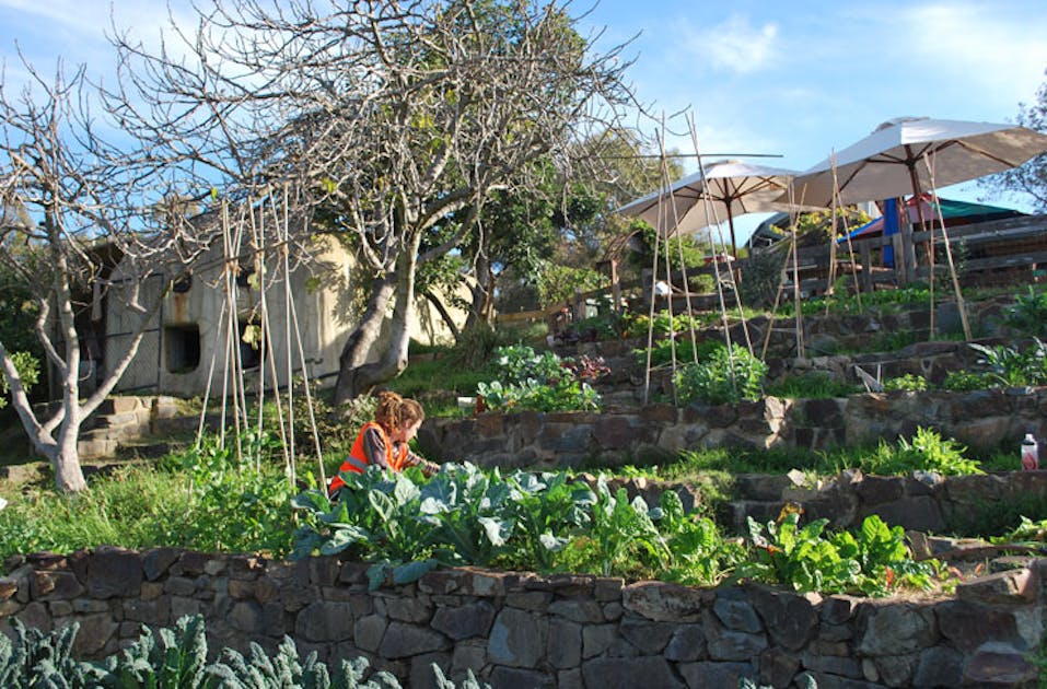 6 Awesome Melbourne Charities To Get Behind URBAN LIST MELBOURNE