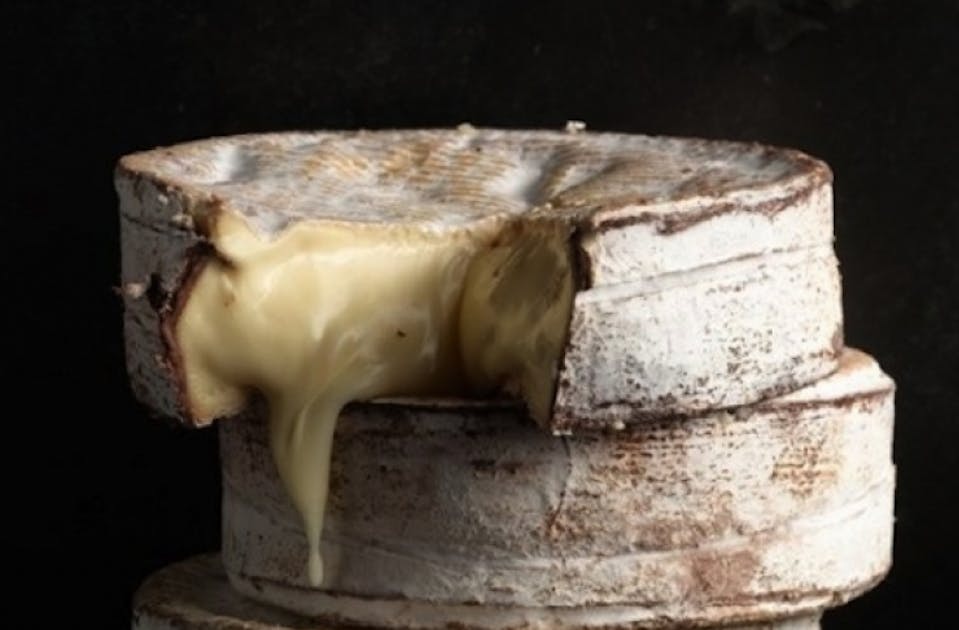 Holy Cheesus! Brisbane Is Getting A Cheese Festival URBAN LIST BRISBANE