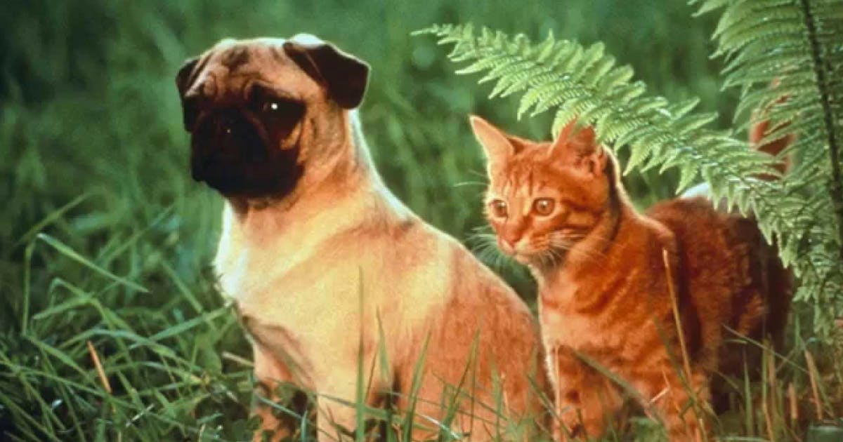 10 Movies From Your Childhood That You've Completely Forgotten About | URBAN LIST MELBOURNE