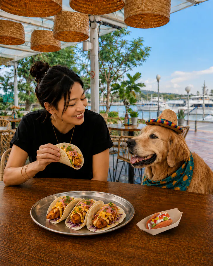 Chimichanga