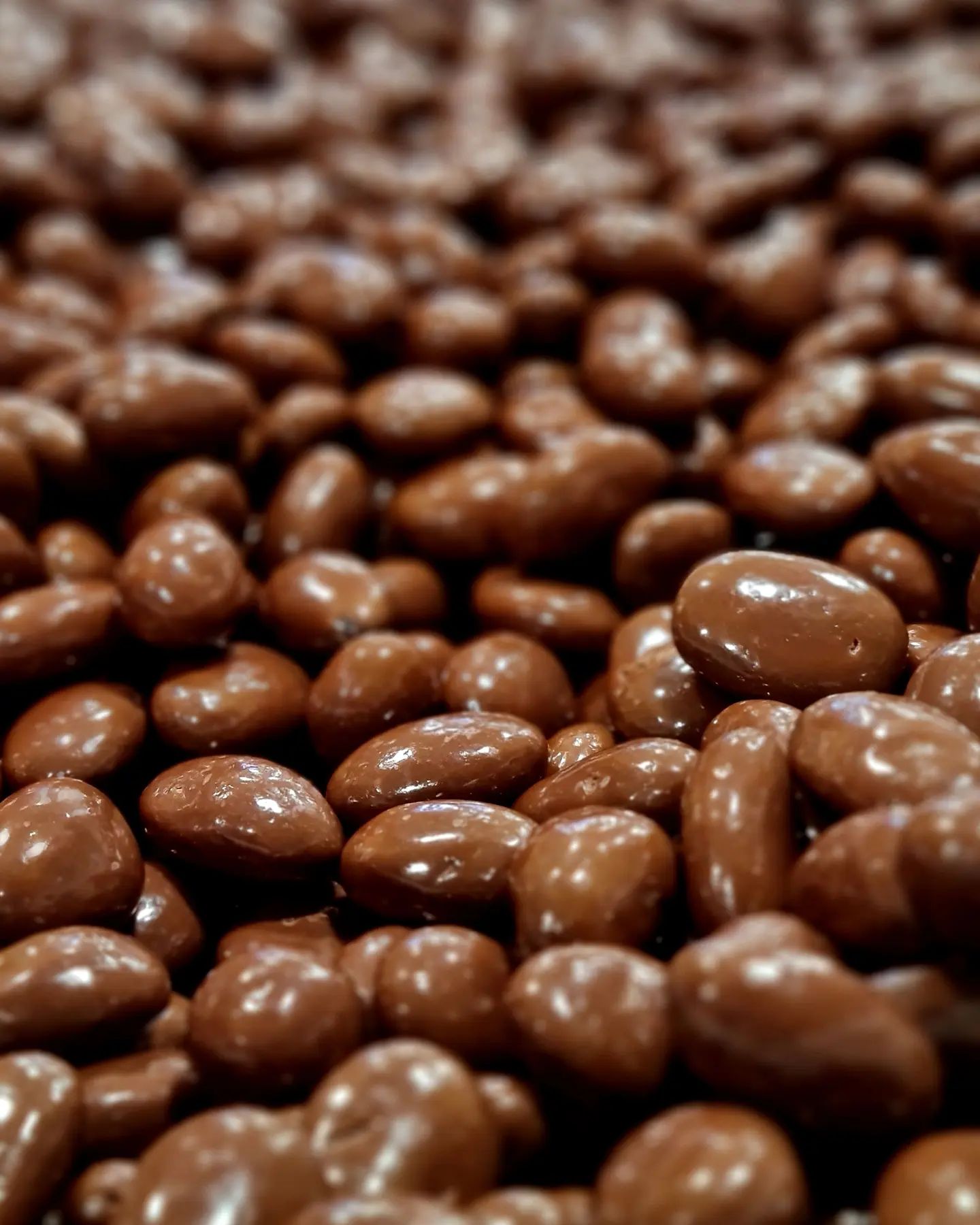 Noosa Chocolate Factory, CBD Urban List Brisbane