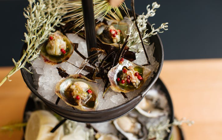 Oysters