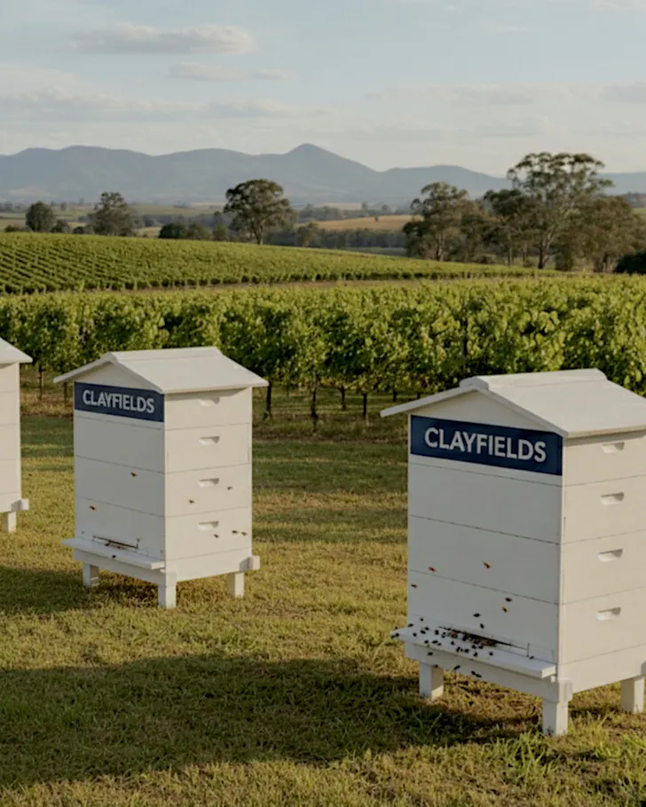 A honey farm in the Hunter Valley.
