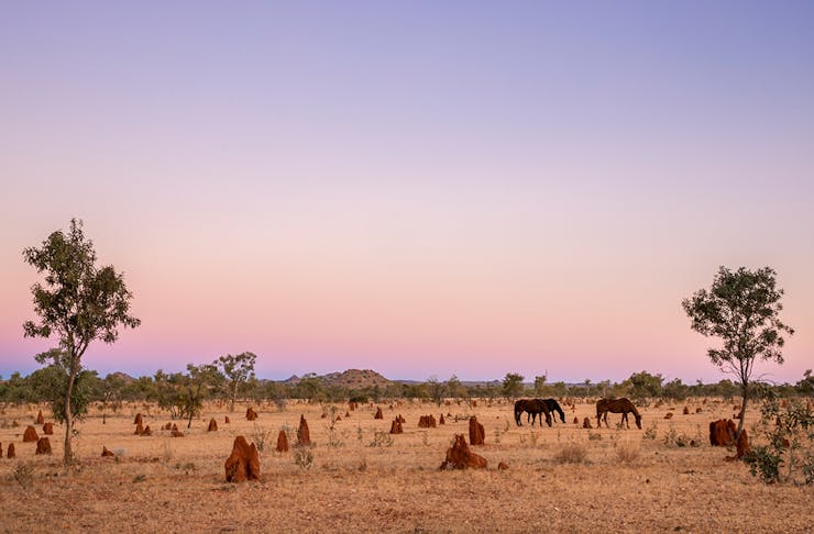 sunset in th outback