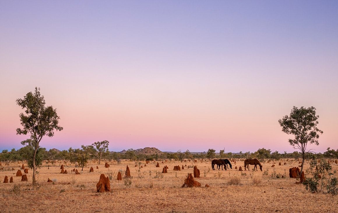 sunset in th outback
