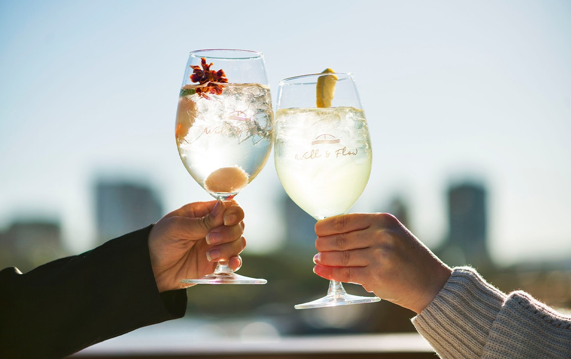 two cocktails being held up to the sky