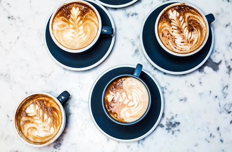 java fest noosa