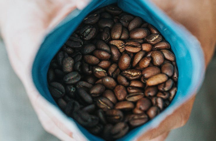 roasted coffee beans in a bag held open by a pair of hands