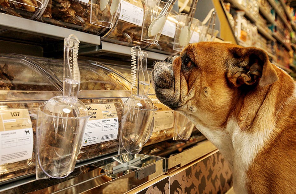 Coles Will Soon Launch SelfServe Dog Treat Bars In Their Supermarkets URBAN LIST GLOBAL