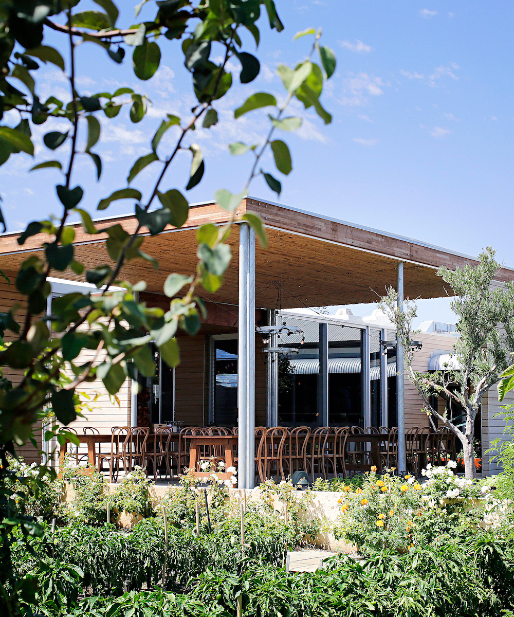 outside seating area at Coogee Common