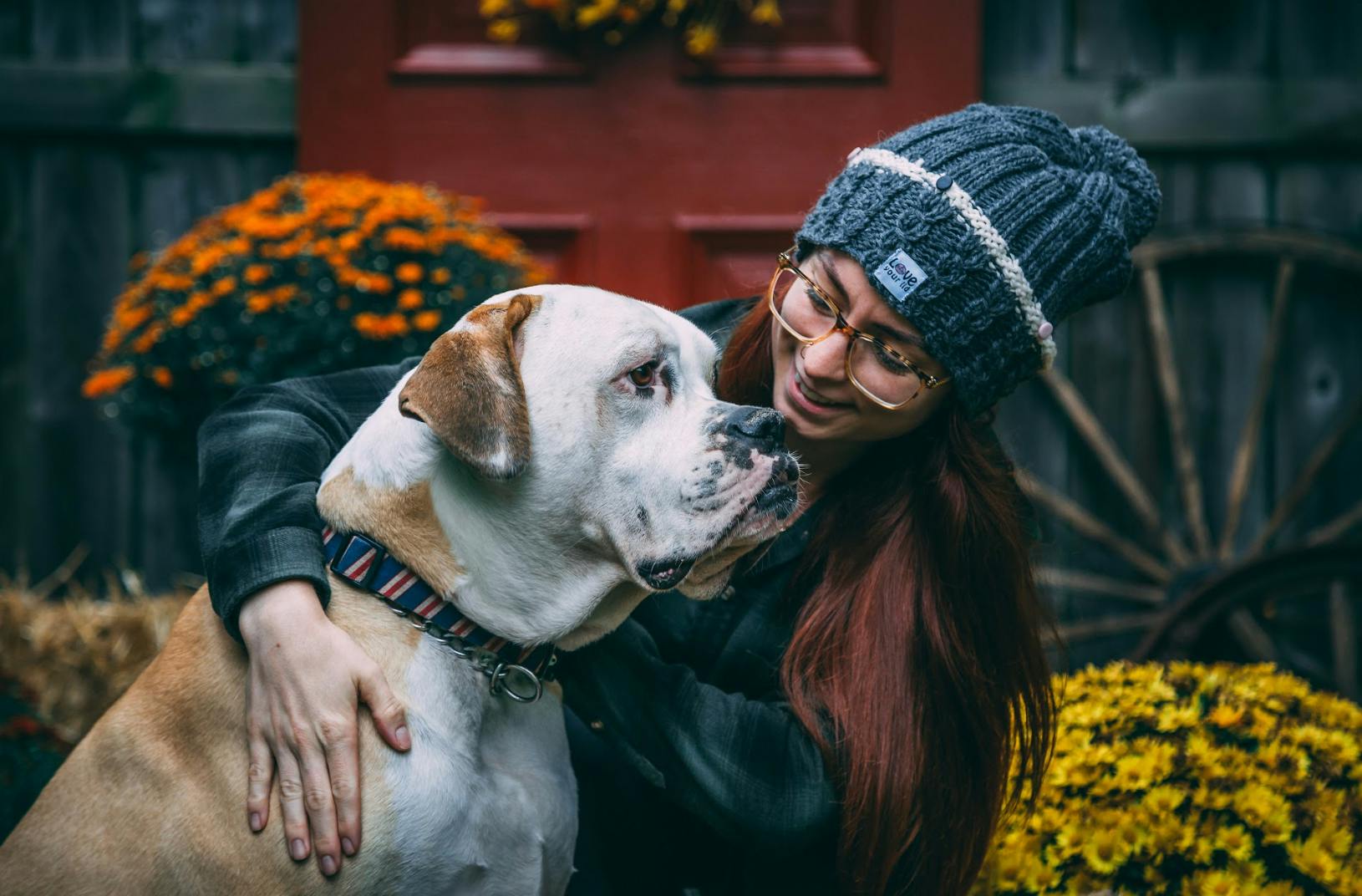 A dog wearing a cool dog collar