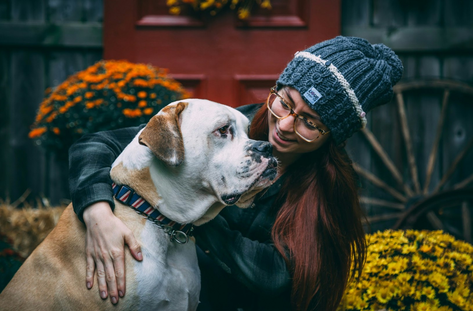 A dog wearing a cool dog collar