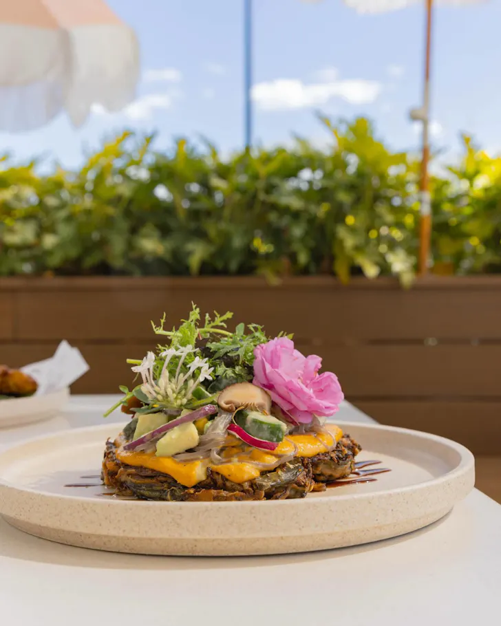 coolum social