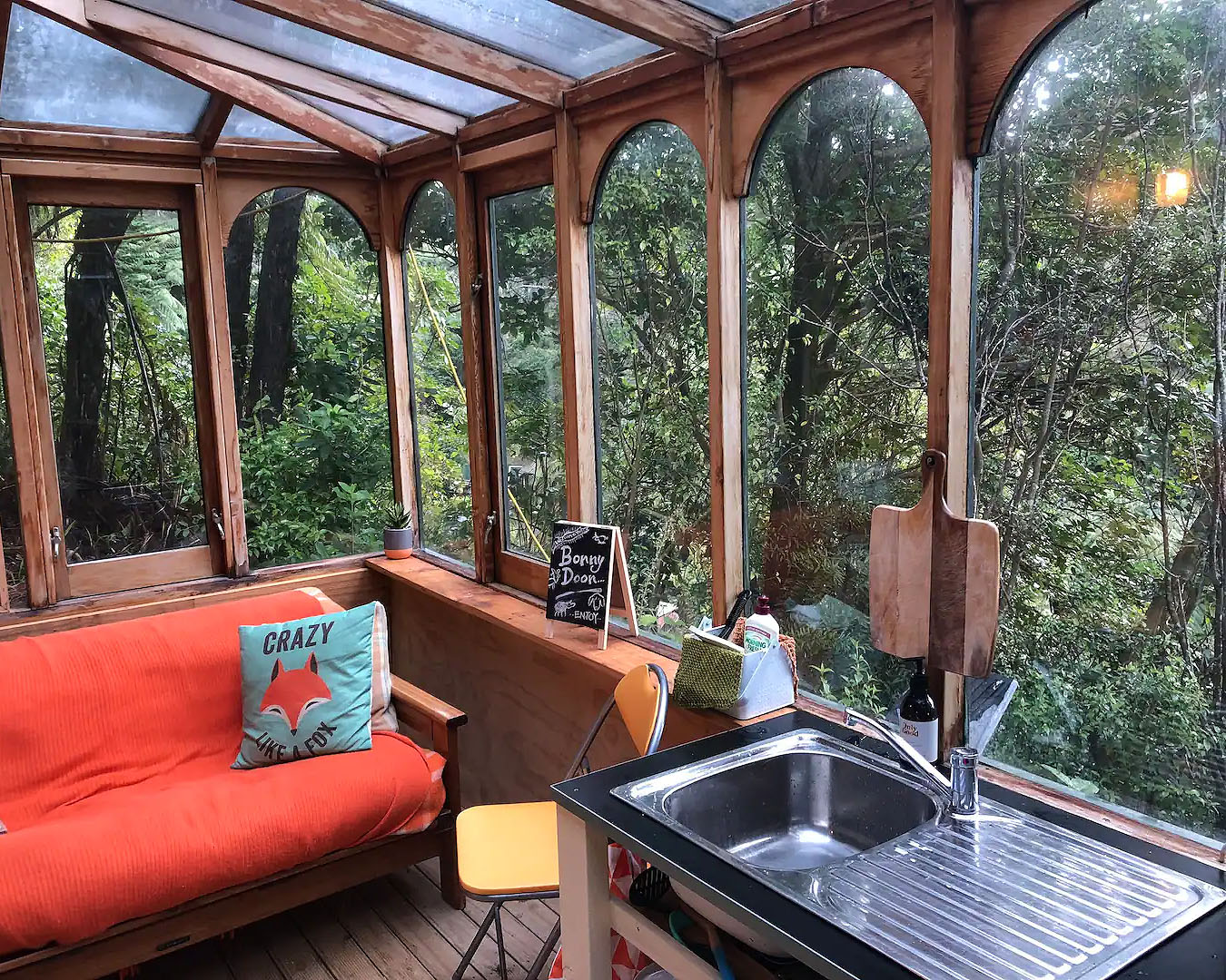 A view out onto dense bush from the cosy caravan amongst the trees, one of NZ's best pet-friendly accommodation.
