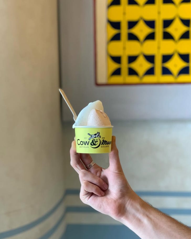 cow and the moon gelato upcoming sydney fish market venue