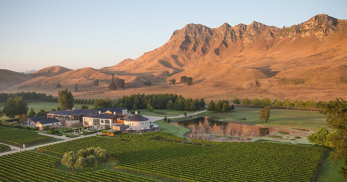 Hawkes Bay Danny De Hek